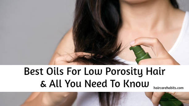 6 Best Oils For Low Porosity Hair 2024 - Hair Care Habits